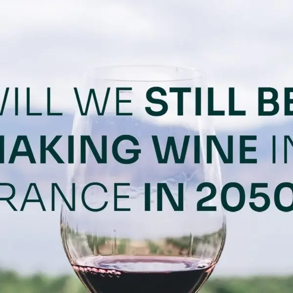Illustration Will we still be making wine in 2050?