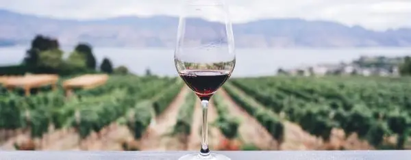 Verre-de-vin-rouge-avec-les-vignes-en-arrière-plan