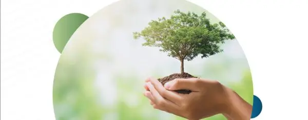 ebook-ecological-transition